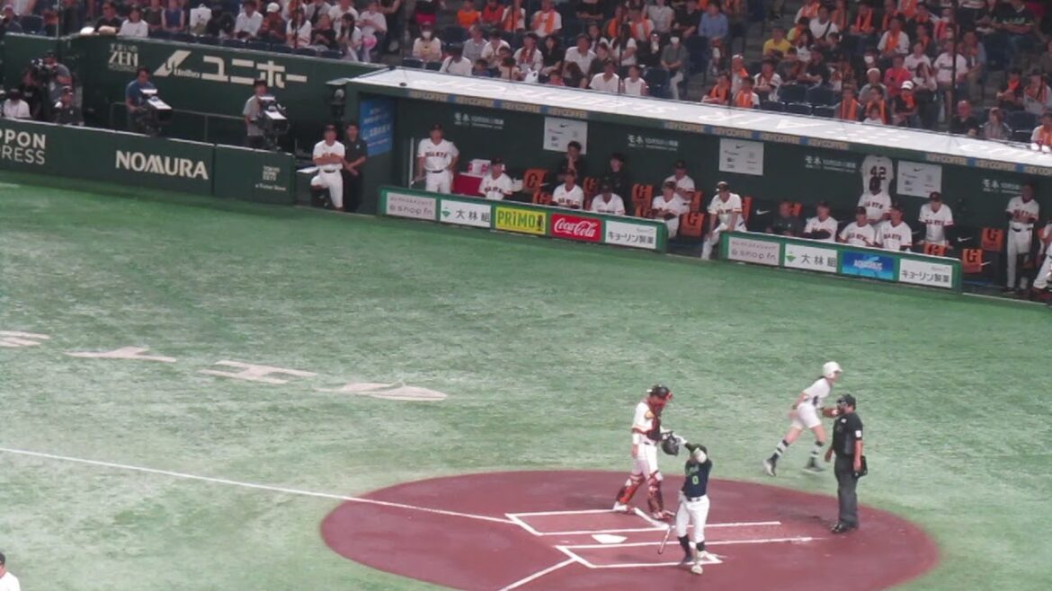 初回 長岡秀樹 死球で並木秀尊の打席を見るベンチの巨人選手（2024年9月14日 読売ジャイアンツ 対 ヤクルトスワローズ）