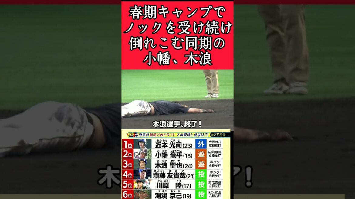 【阪神】ノックを受け続け倒れ込む木浪、小幡！ #阪神 #阪神タイガース #木浪聖也 #小幡竜平 #shorts