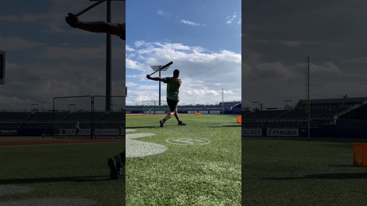 中山翔太さんの打球とスイング軌道がエグすぎました。#プロ野球 #ヤクルト #履正社 #shorts