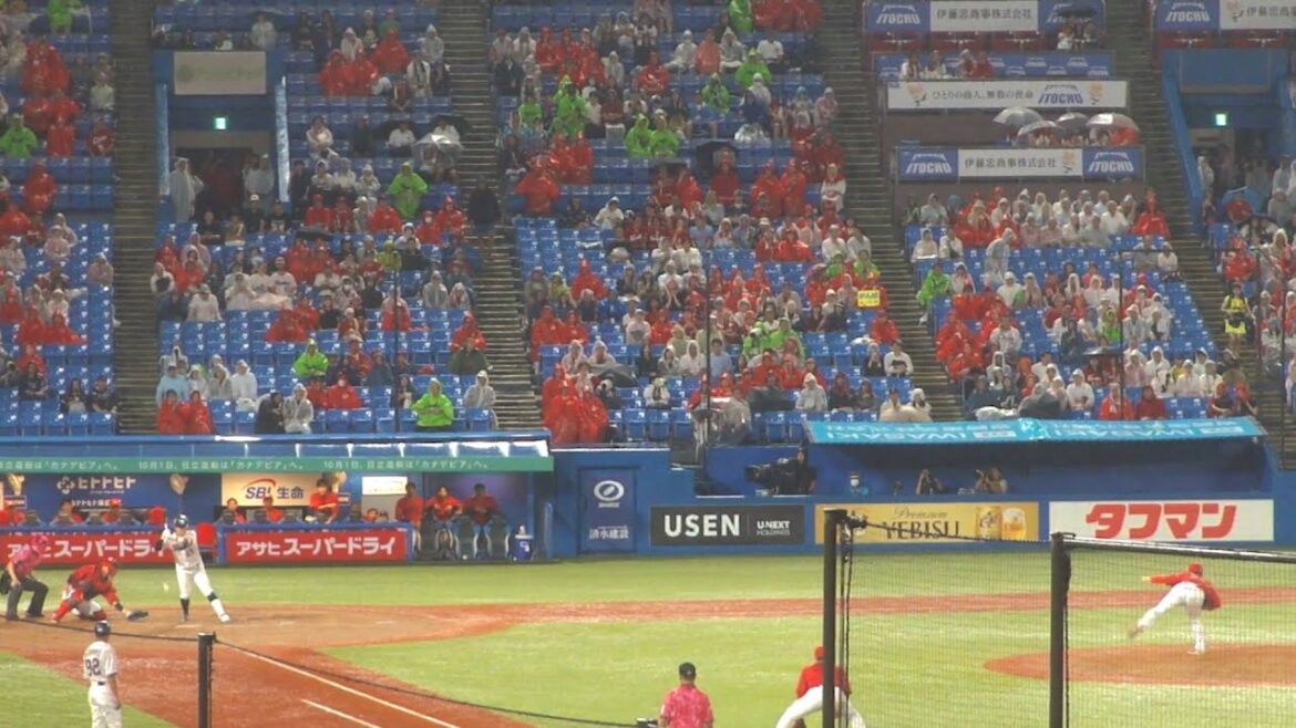 ヤクルト 増田珠 デッドボール　ヤクルト vs 広島　2024年9月18日(水) 神宮球場