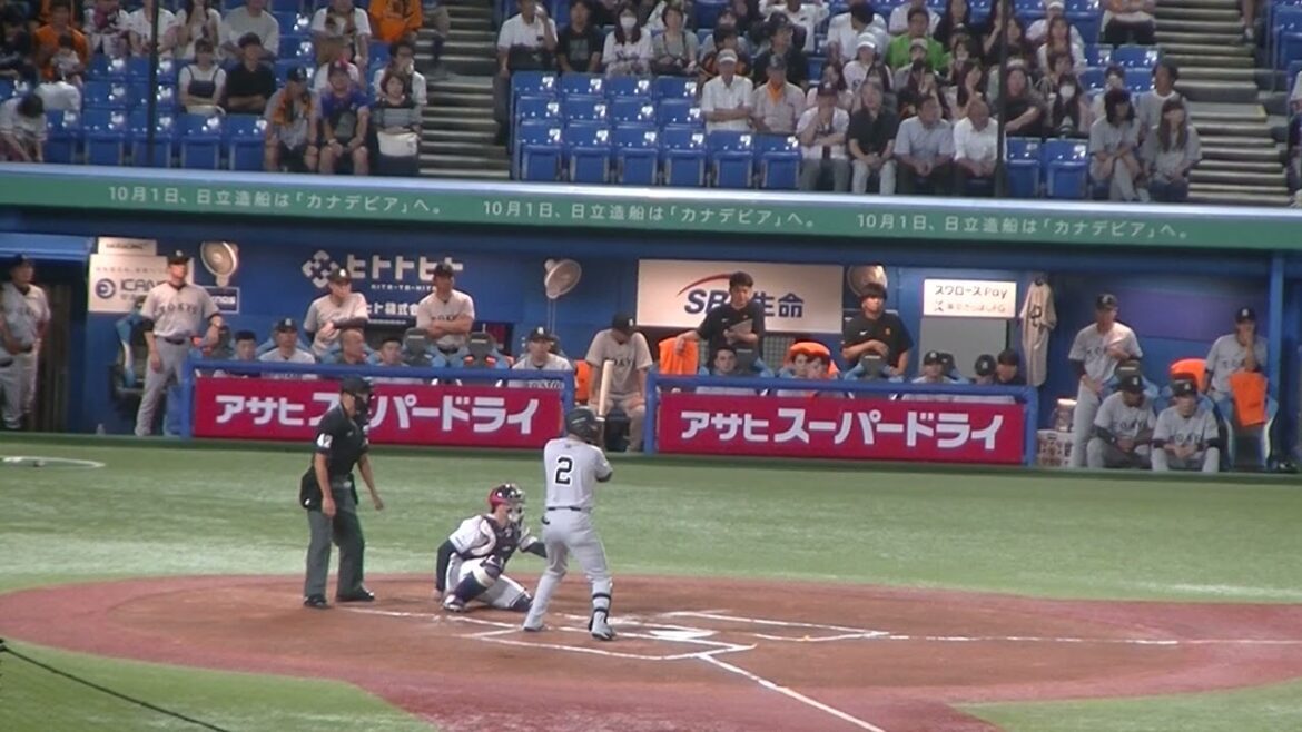 坂本勇人 吉川尚輝の第一打席とそれを見るジャイアンツベンチの選手たち【ヤクルトスワローズ対 読売ジャイアンツ2024年9月13日】