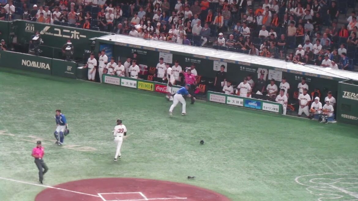 【巨人ベンチ】吉川尚輝のタッチアップに最初に気づいたの朝井スコアラーか？選手たちが大喜び（読売ジャイアンツ 対 横浜DeNAベイスターズ 2024年9月19日）