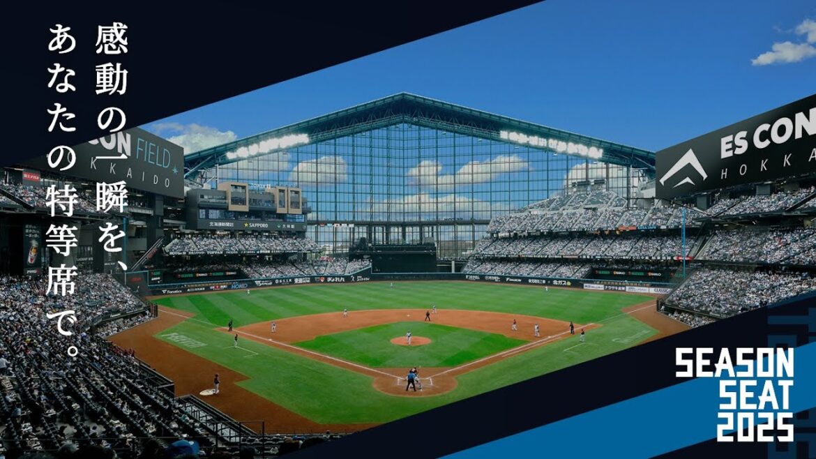 感動の一瞬を、あなたの特等席で。