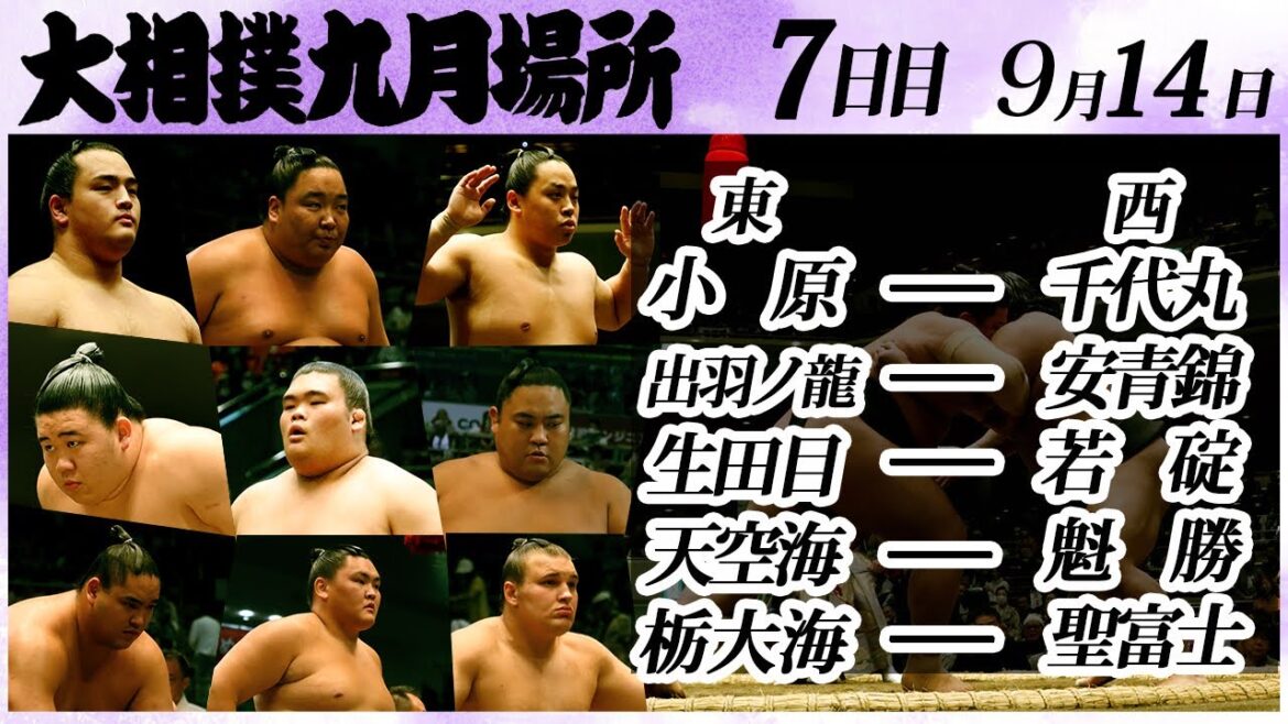 大相撲　幕下上位五番　＜令和６年九月場所・7日目＞SUMO