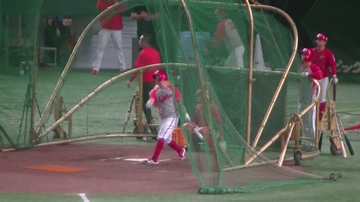 上本崇司のバッティング練習〜レフトスタンドから＜読売ジャイアンツ 対 広島カープ 2024年8月21日＞