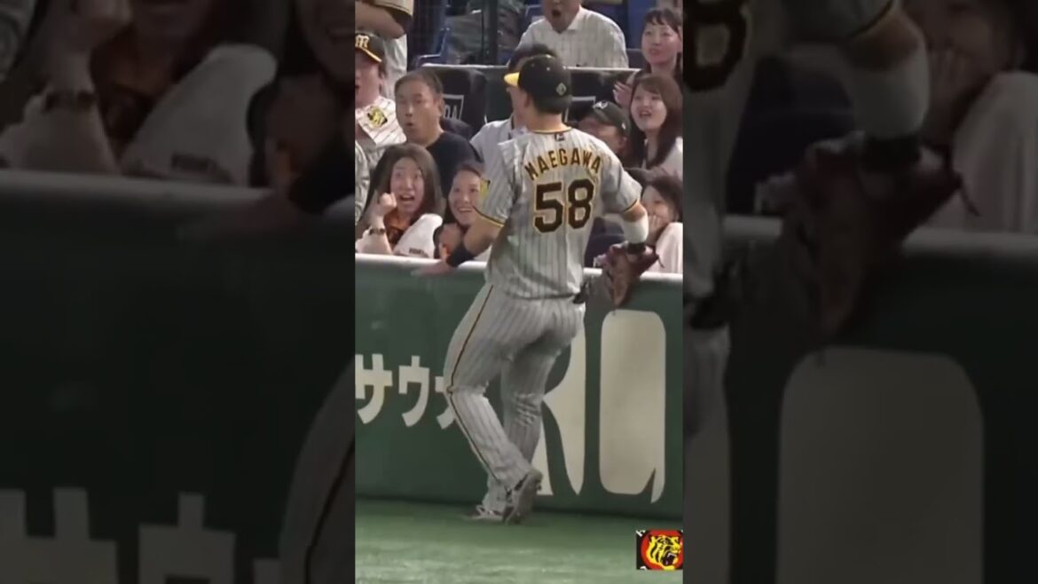 【阪神タイガース】ショート熊谷敬宥がスーパーキャッチ#プロ野球