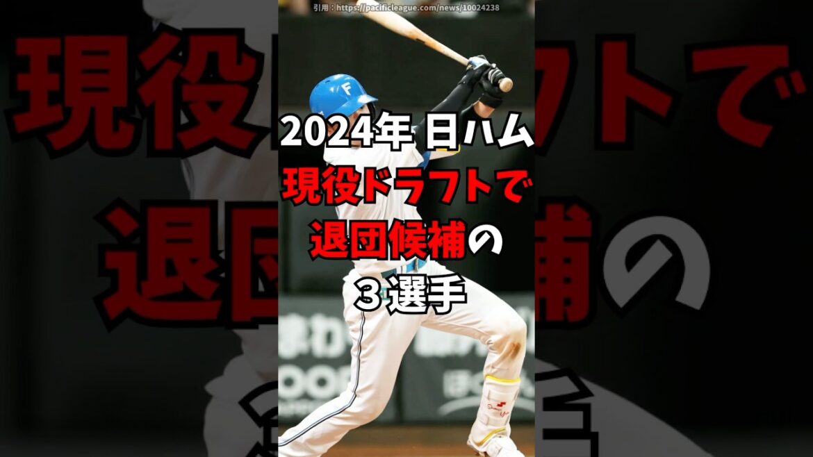 【日本ハム】現役ドラフトで今年、退団危機の３人【北海道日本ハムファイターズ】