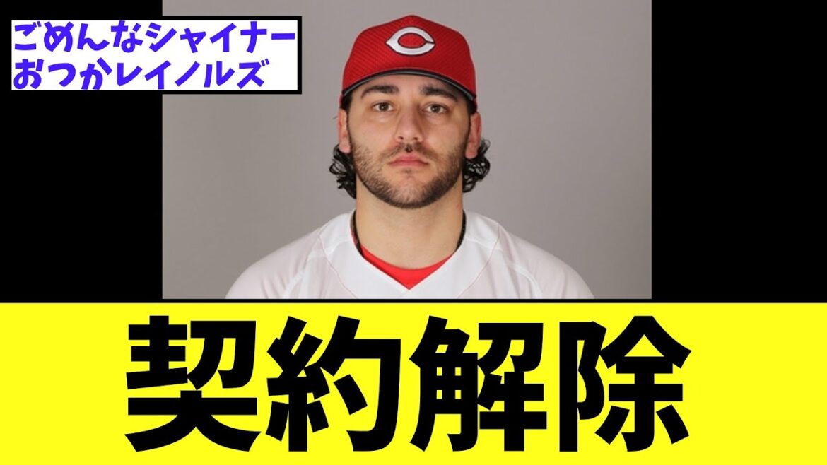 【悲報】広島外国人　また
