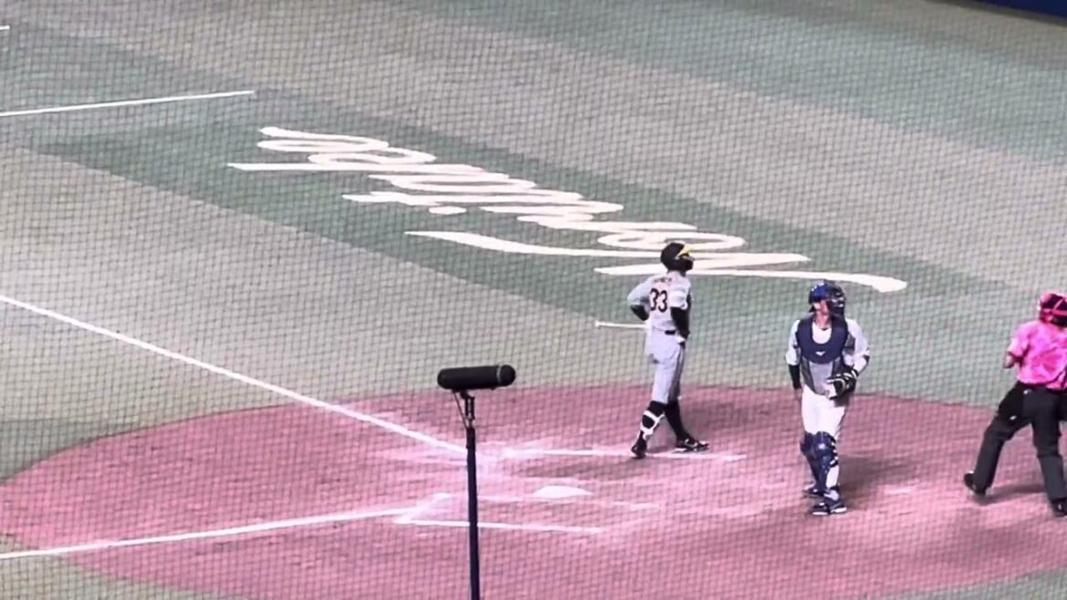 【24.名古屋ラスト】 #阪神#糸原健斗 選手代打で登場 9回表  #バンテリンドームナゴヤ 24.9.18.