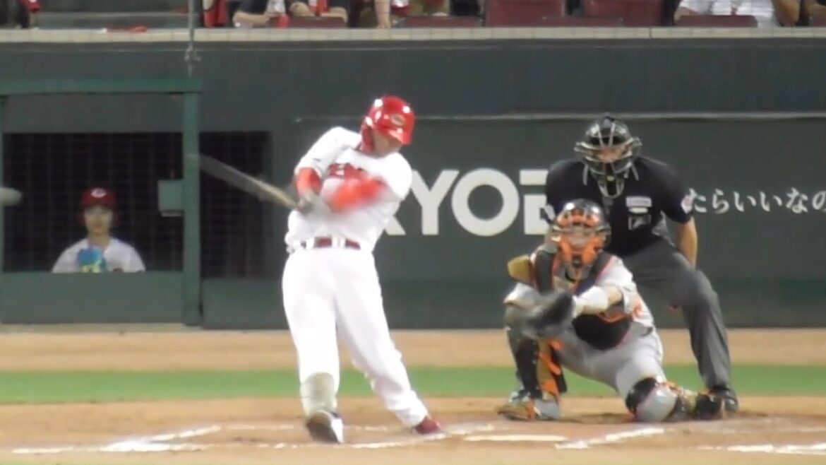 若鯉、林晃汰も打った！11安打で2点...本日の広島カープ安打&得点シーン全部見せ！2024年9月20日