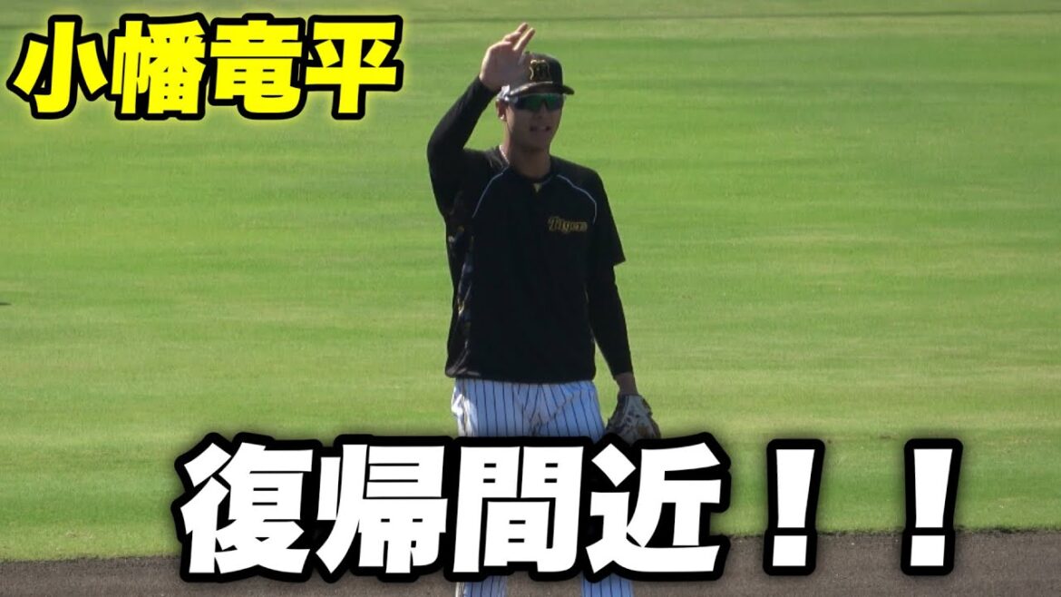 【今日から代走で試合出場予定！！もうすぐ甲子園で小幡 木浪ペアが見れるかも！試合前のノック バッティング練習】