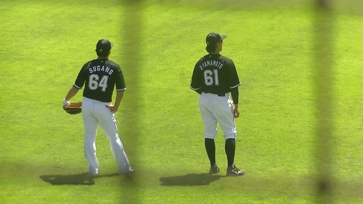 【マリーンズ】シートノックでライトの守備につく山本大斗と菅野剛士（2024年9月11日 日本ハムファイターズ 対 千葉ロッテマリーンズ 鎌ヶ谷）