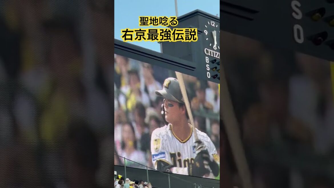 #tigers #前川右京 選手が熱い #shorts