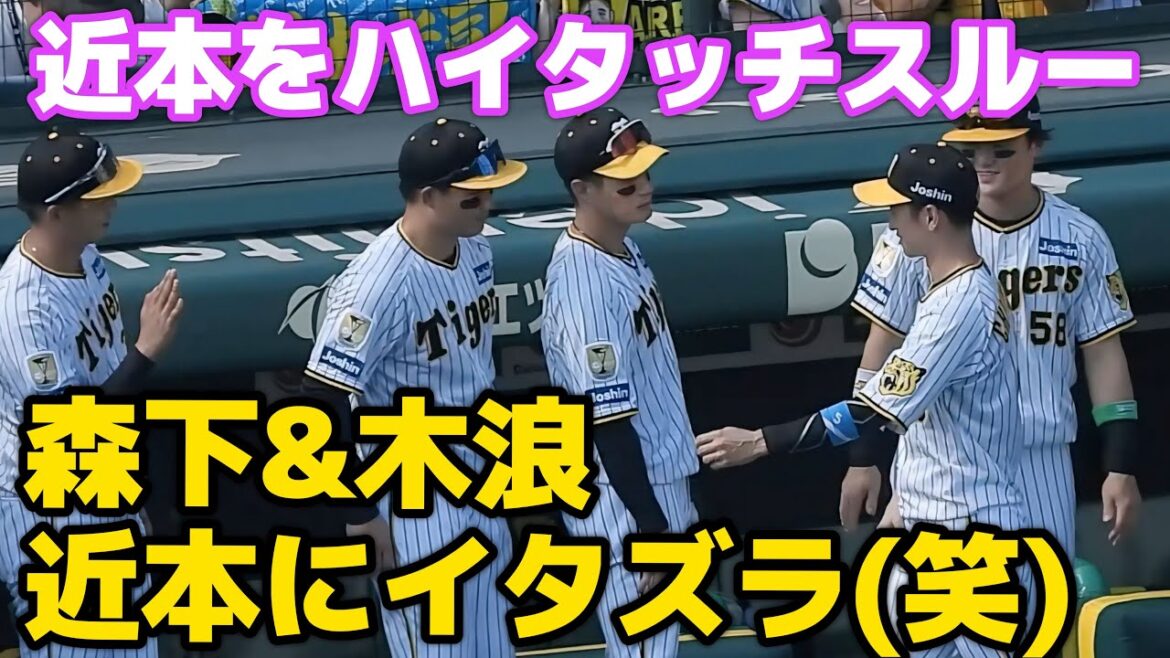 森下&木浪「わざとスルーしようぜw」二人にハイタッチスルーされた近本光司さん、木浪の差し出した手に気づかずスルー返し2024.9.16