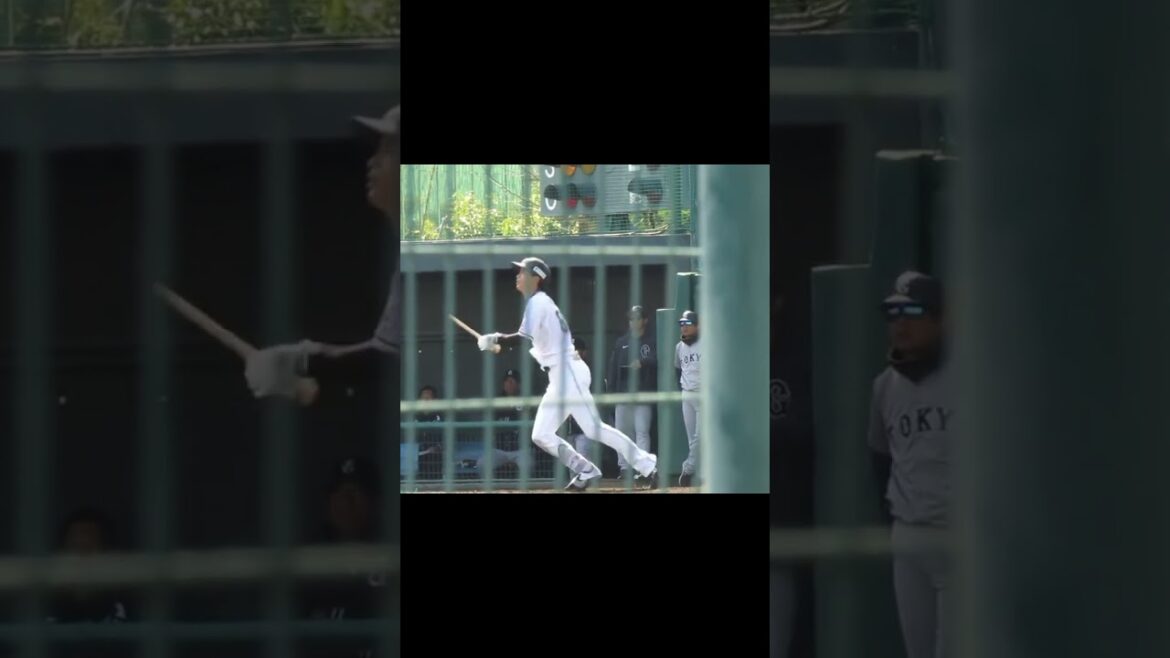 マリーンズ和田康士郎バッティングフォーム［千葉ロッテマリーンズ2軍 対 読売ジャイアンツ3軍 2024年3月14日］ #プロ野球 #野球 #baseball