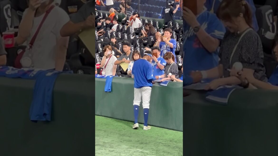 【神対応ファンサ💖】ライデル❤️‍🔥チュニドラファンは試合開始2時間前にいくのがオススメ💫レフトビジターから練習風景2024.9.15読売戦 3-6負け🔥#立浪  #中日 #読売