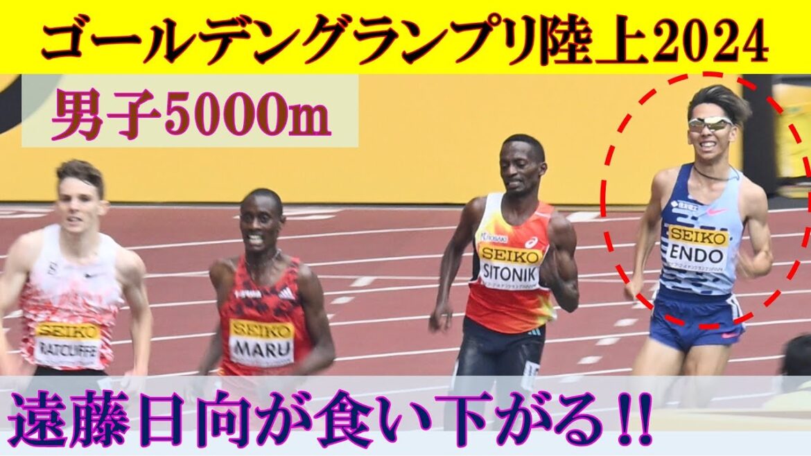 ［4k高画質] 遠藤日向　塩尻和也　男子5000m　決勝　セイコー ゴールデングランプリ陸上2024