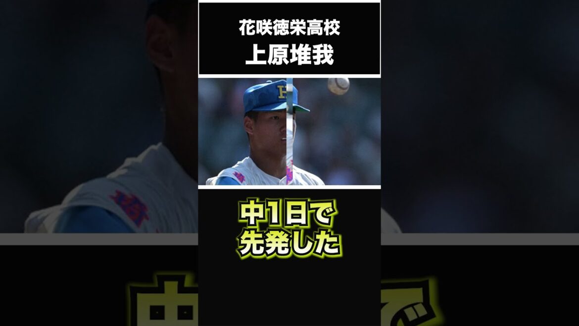 【巨人】【東京ヤクルトスワローズ】2024年 ドラフト候補！ ＜花咲徳栄高校＞上原堆我 投手 外角低めへの直球の制球力はピカ一！先発ローテが不足気味のチームは要リストアップの高校生右腕 #shorts