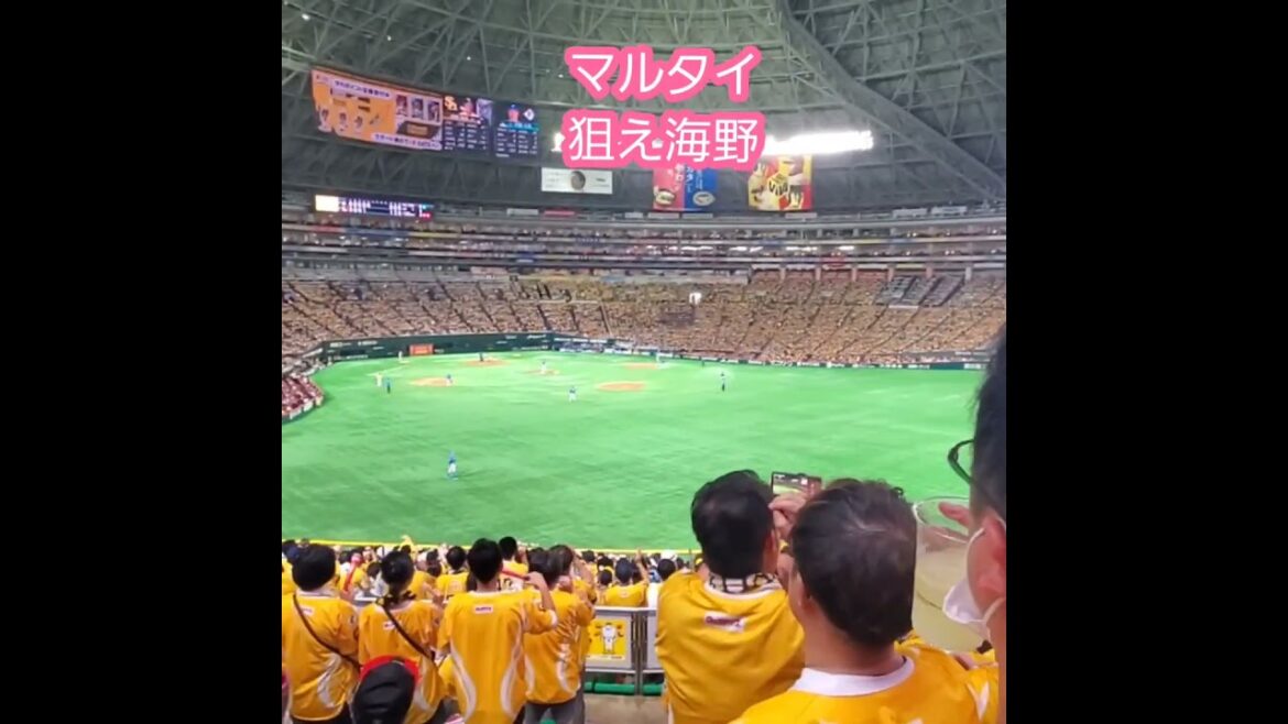 20240804　#関東真隼 らしいｺｰﾙ【マルタイ狙え！海野！】　5回ｳﾗ　福岡ｿﾌﾄﾊﾞﾝｸﾎｰｸｽ応援団@みずほPayPayﾄﾞｰﾑ福岡･外野ﾗｲﾄ［鷹祭 SUMMER BOOST 2024］