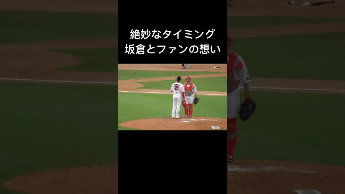 ストライクが入らない栗林へ坂倉とカープファンが絶妙な声掛けと後押し！#栗林良吏 #坂倉将吾 #carp #shorts 2024年9月21日