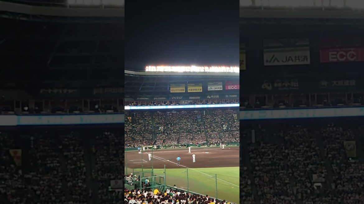 8月1日　甲子園100周年記念試合　復活の岩貞＃プロ野球＃阪神タイガース＃甲子園＃shorts