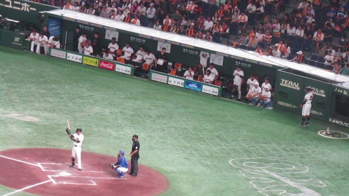 【巨人ベンチ】吉川尚輝フォアボールで拍手する選手など（読売ジャイアンツ 対 中日ドラゴンズ 2024年9月16日）