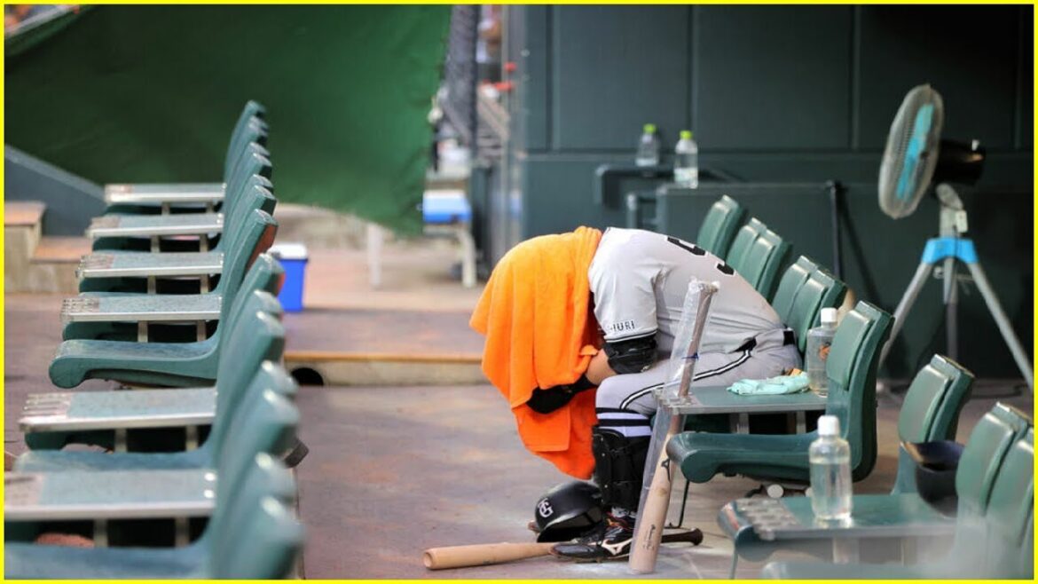 ⚾【巨人】亀井コーチ「誰も責めることはしない」後逸の浅野翔吾に「ミスは誰でもある。このまま頑張ってくれれば」🧢 JAPAN