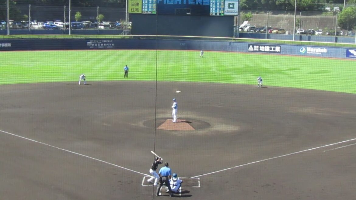 【ファイターズ】石川慎吾の先制タイムリーヒット（2024年9月11日 日本ハムファイターズ 対 千葉ロッテマリーンズ 鎌ヶ谷）