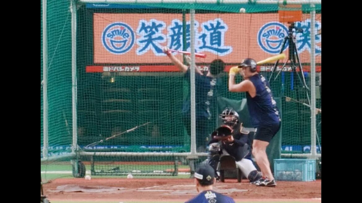 2024/09/18　杉本裕太郎選手　打撃練習　オリックスバファローズ