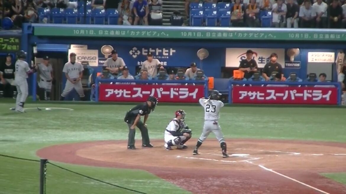 立岡宗一郎の打席とそれを見るジャイアンツベンチの選手たち【ヤクルトスワローズ対 読売ジャイアンツ2024年9月13日】