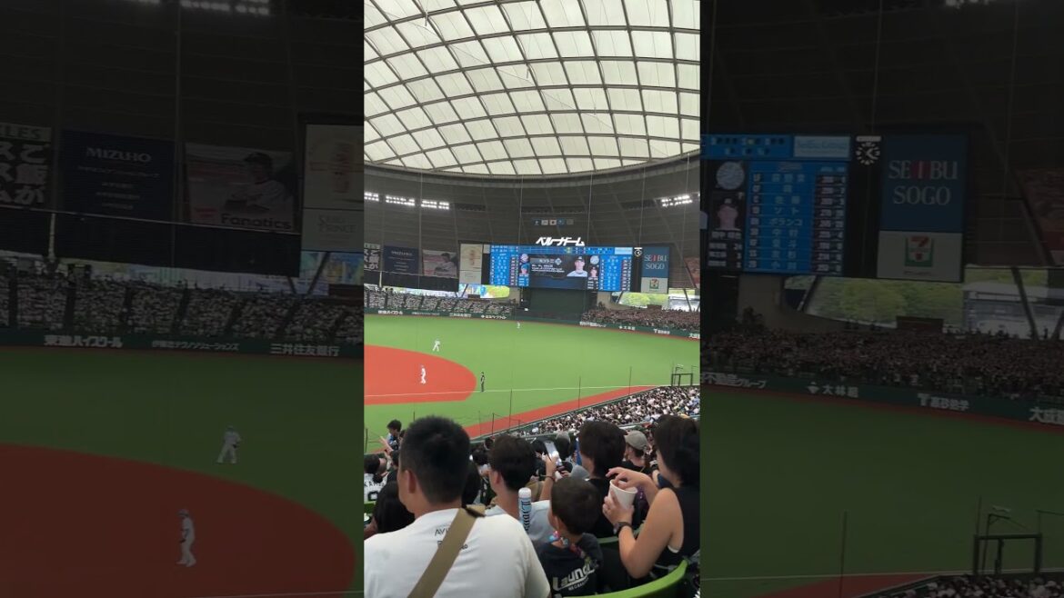 K.186 2024/09/16 西武vsロッテ ソト選手