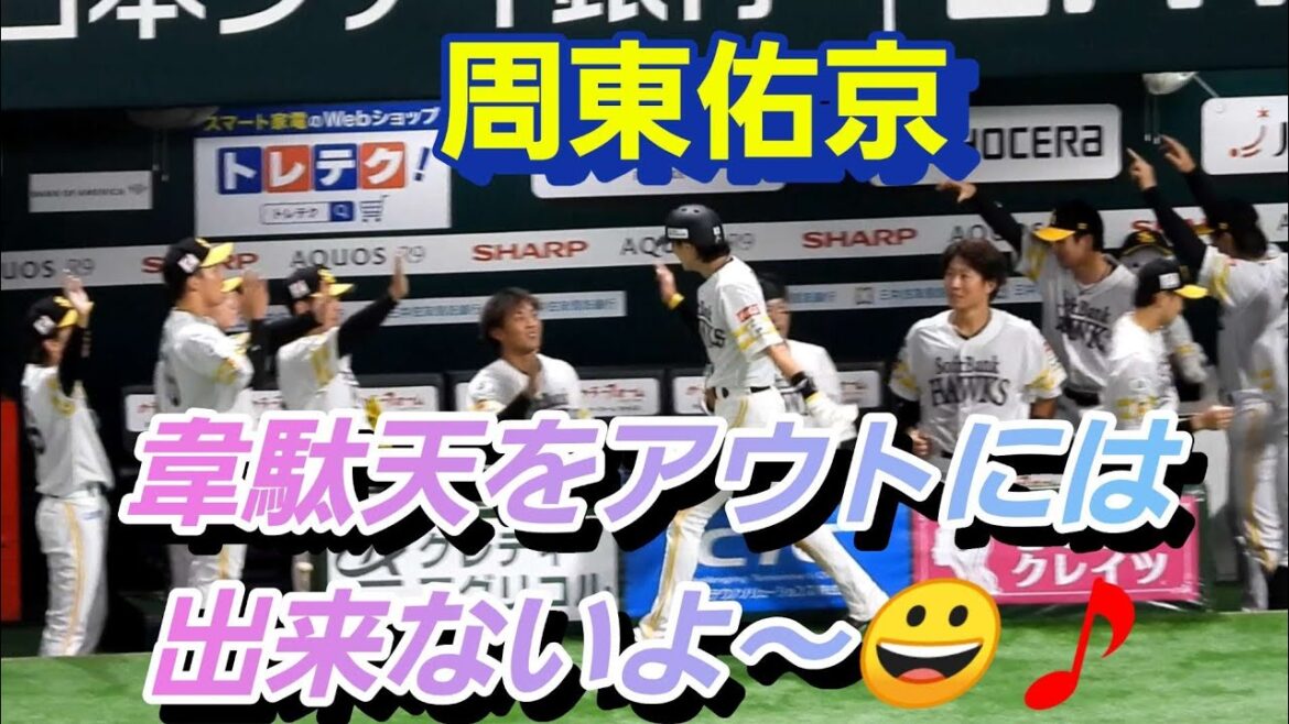 バッテリーのパスボールで韋駄天をアウトには出来ないよ～😀🎵2024年9月22日#周東佑京