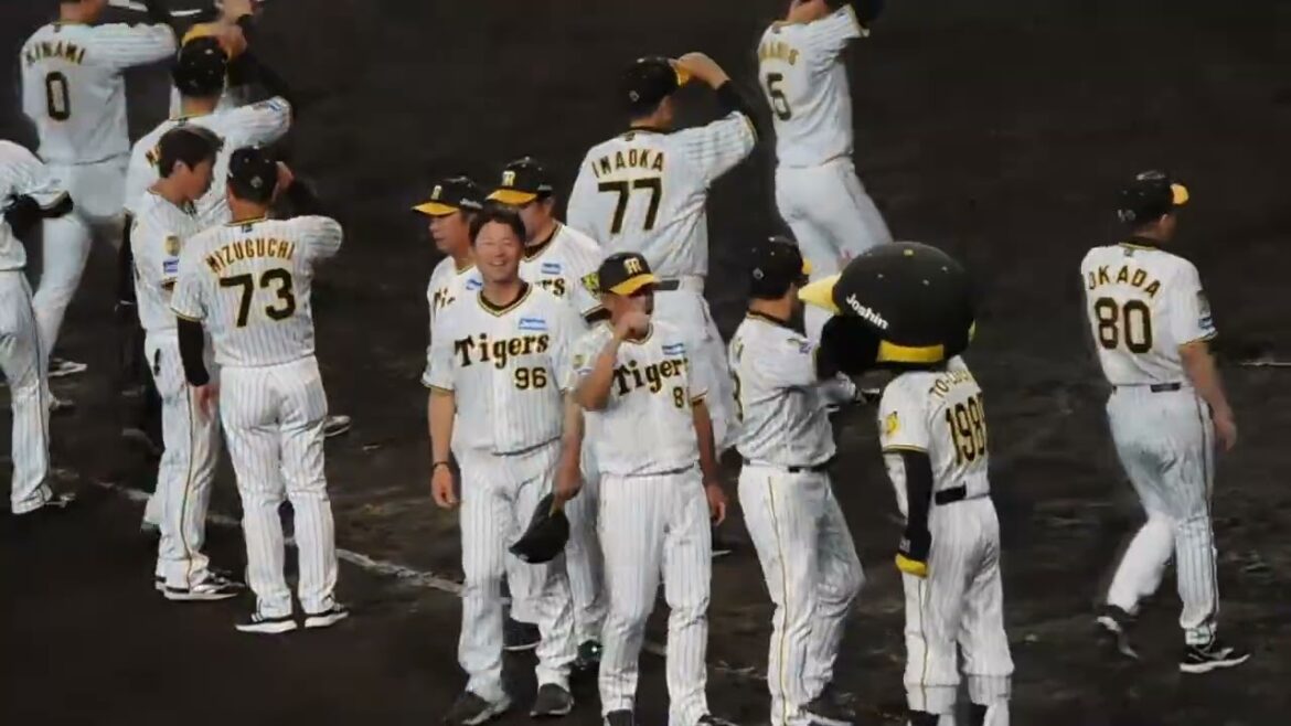 【1ゲーム差】2024.9.22 阪神 勝利のハイタッチ