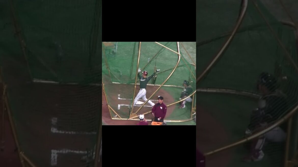 【イーグルス】村林一輝フリーバッティング 東京ドーム2024年3月23日 読売ジャイアンツ対 楽天ゴールデンイーグルス 試合前 #プロ野球 #野球 #baseball