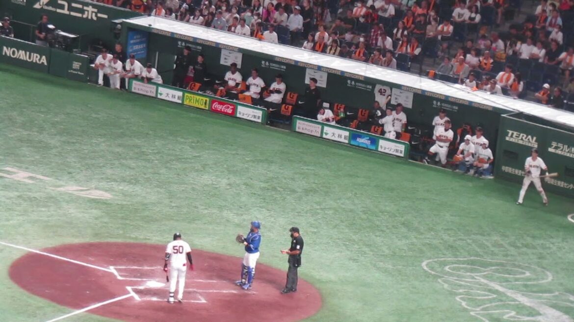 【巨人ベンチ】途中出場のオコエ瑠偉タイムリーヒットで盛り上がるベンチ（読売ジャイアンツ 対 中日ドラゴンズ 2024年9月16日）