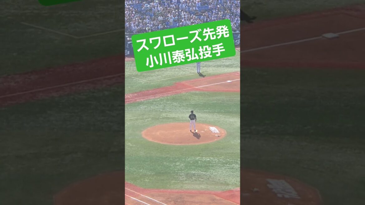スワローズ先発は小川泰弘投手！ #2024 #スワローズ