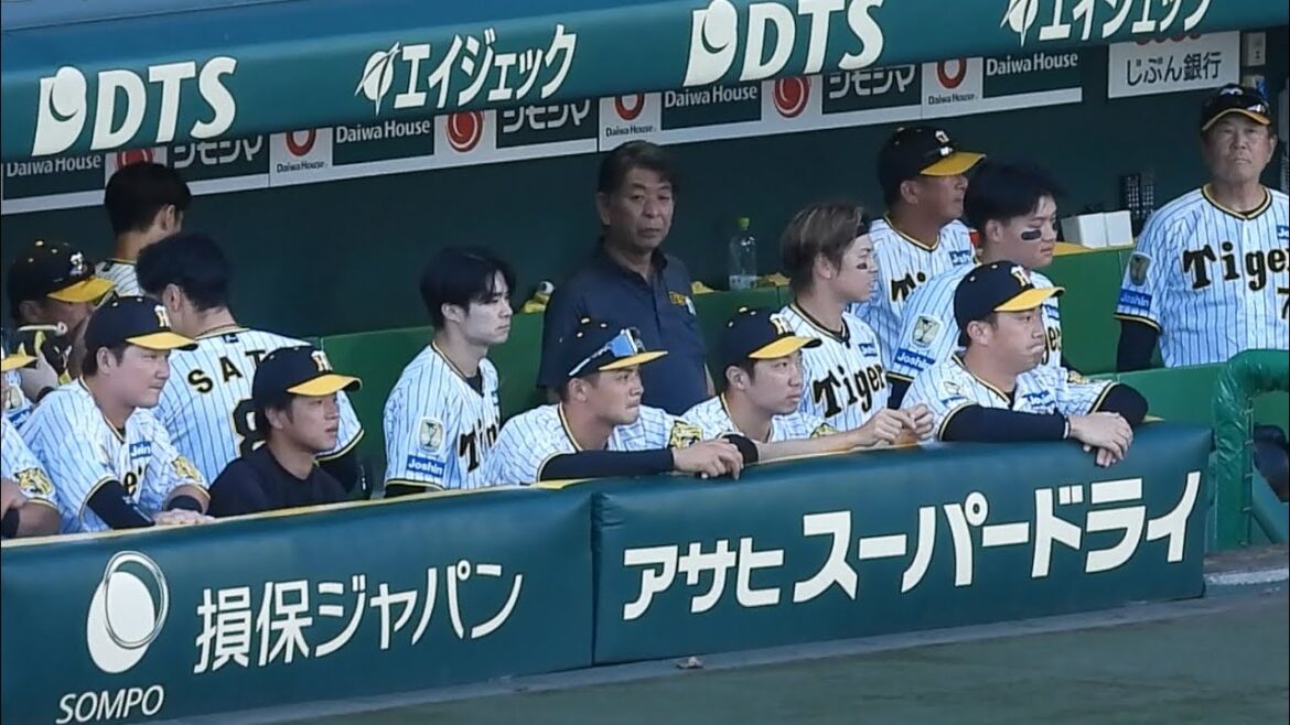 【痛恨の敗戦】試合終了後、悔しさを滲ませながらグラウンドを見つめる阪神ナイン。しばらくベンチを動けず 2024.9.23