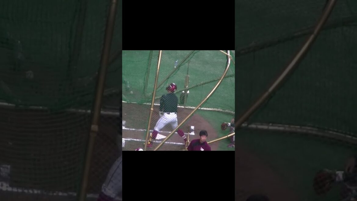 【イーグルス】山田遥楓フリーバッティング 東京ドーム2024年3月23日 読売ジャイアンツ対 楽天ゴールデンイーグルス 試合前 #プロ野球 #野球 #baseball