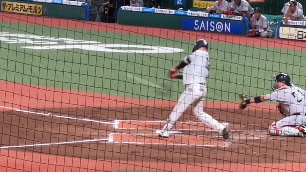 ライオンズ先制！是澤涼輔ツーベース➡︎バント➡︎ワイルドピッチ【ファーム 西武vs巨人】2024/9/17