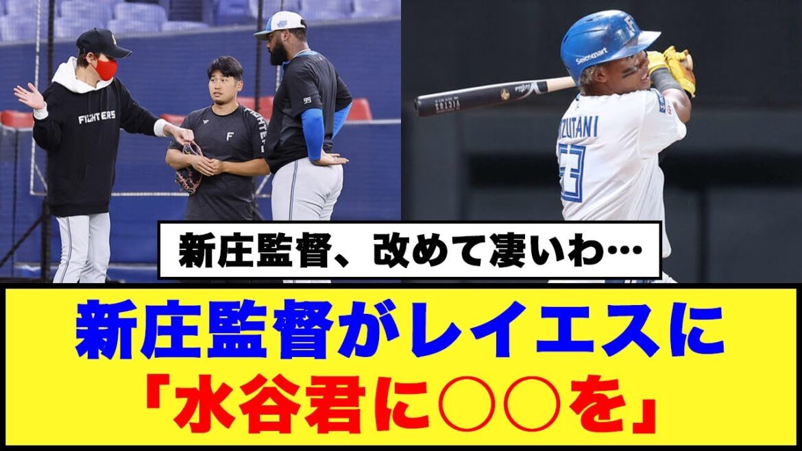 【日本ハム】新庄監督がレイエスに「水谷君に○○を」