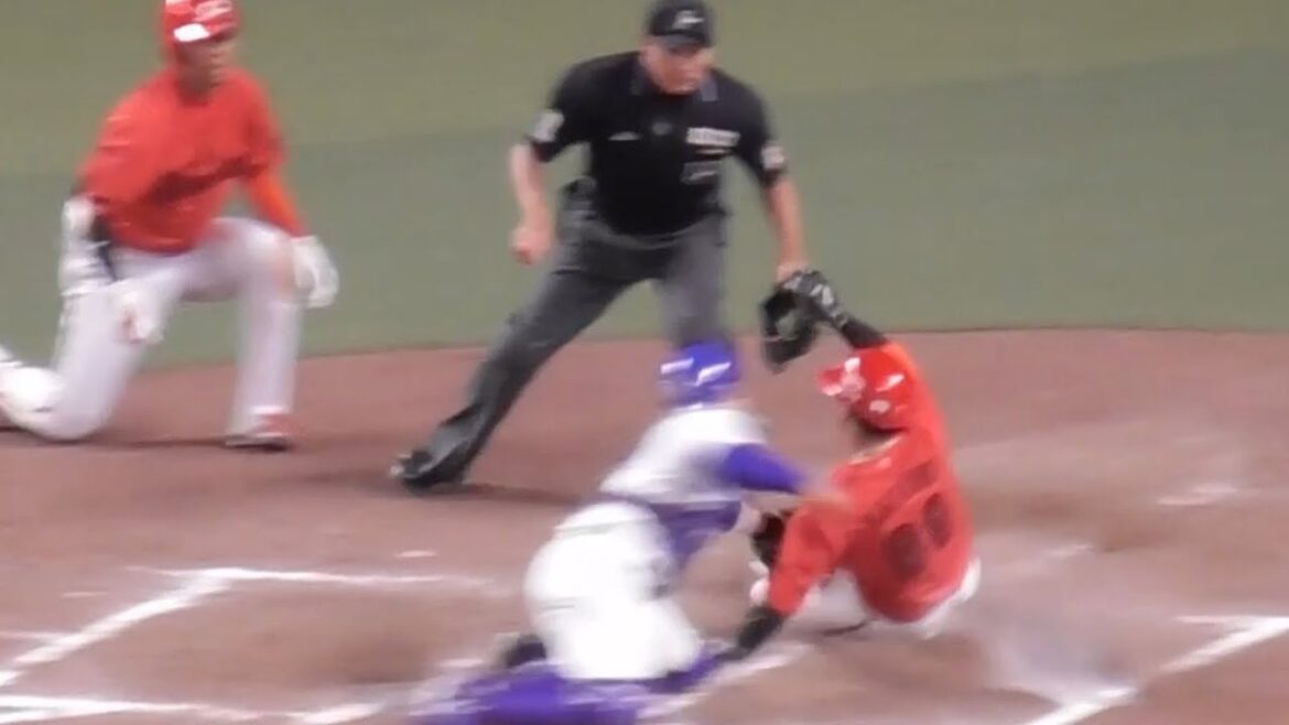 8回、勝負を賭けた新井カープ！矢野ライトへのヒットに、羽月の快足飛ばすもホームタッチアウト...同点ならす！2024年9月22日