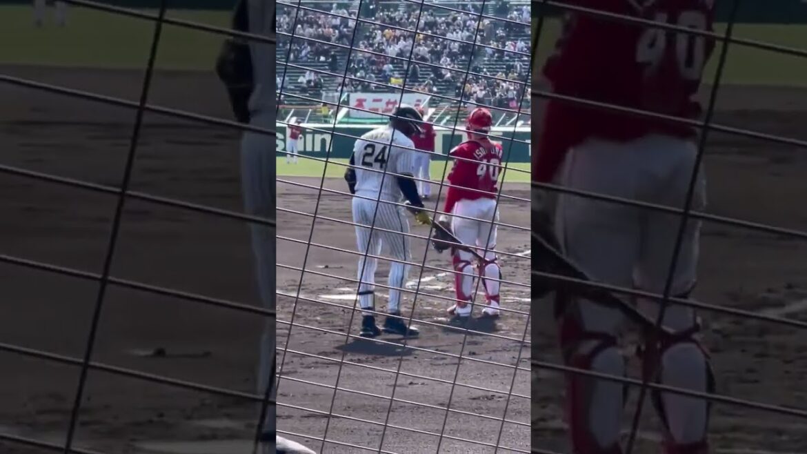 ￼￼現在韓国に戻り、大活躍中のメル・ロハスJr.さん