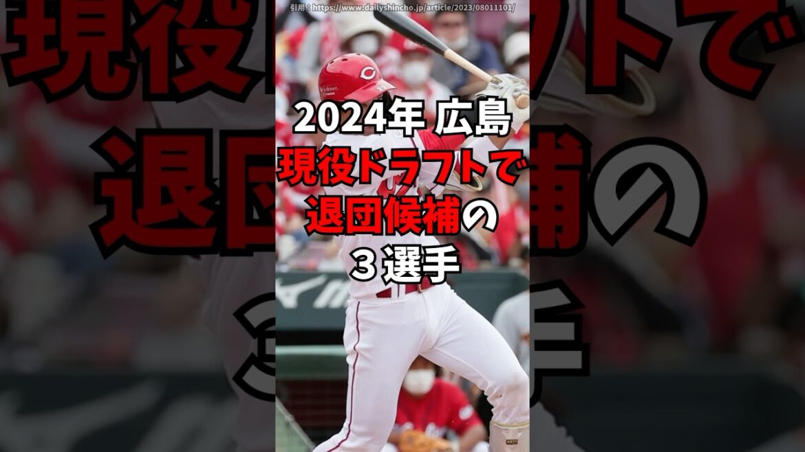 【広島カープ】現役ドラフトで退団危機の３人　#広島東洋カープ　#プロ野球　#新井監督