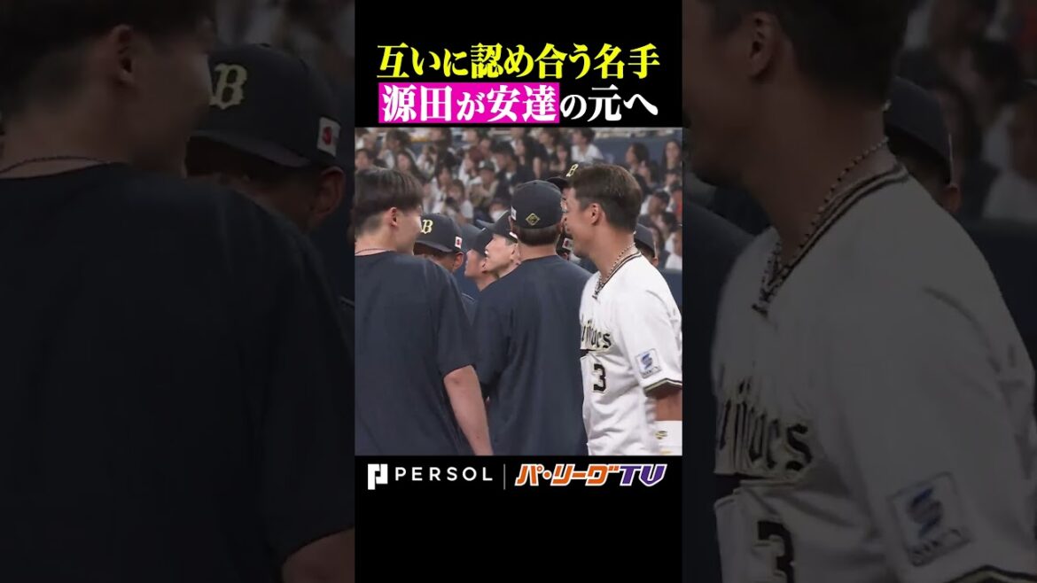 Pacific-League: 安達と源田 #shorts 安達と源田 #shorts