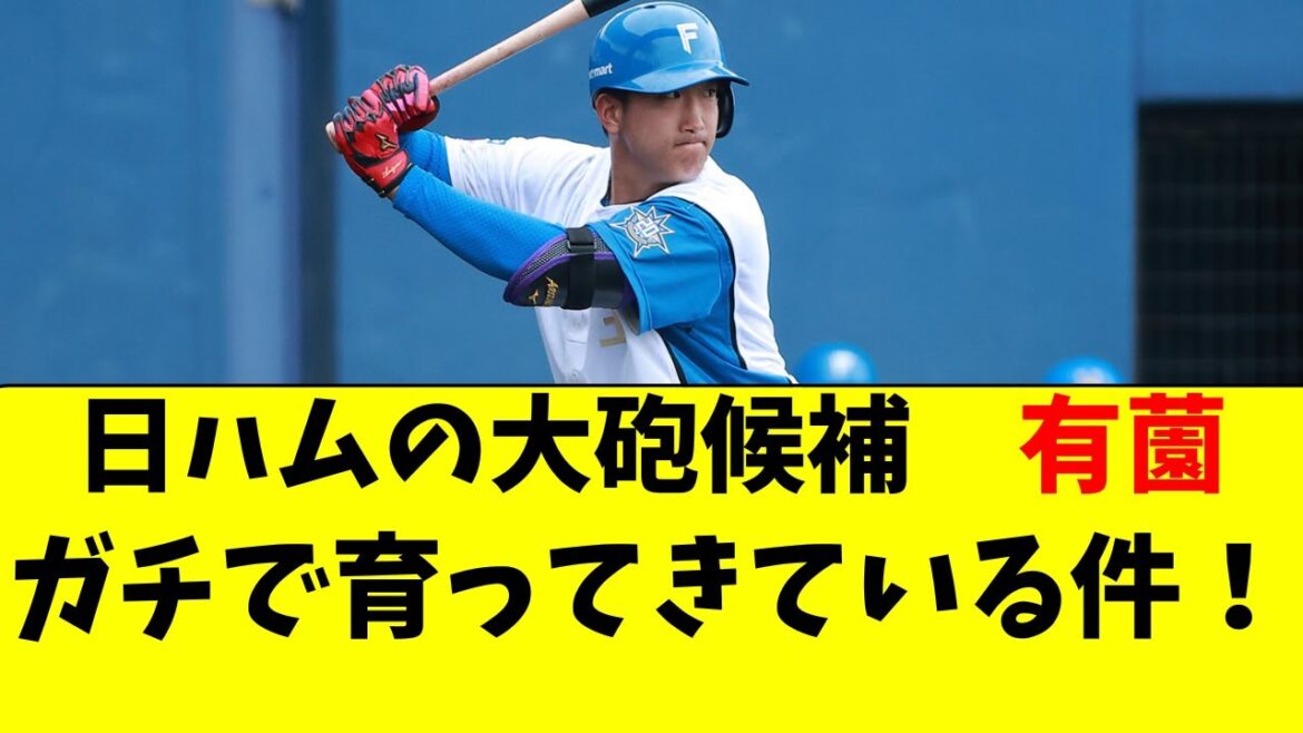 【日ハム】若手長距離砲・有薗がガチで育ってきている件！