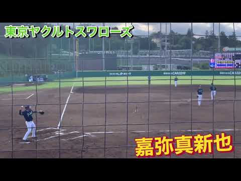 東京ヤクルトスワローズ 嘉弥真新也 東京ヤクルトスワローズ 嘉弥真新也