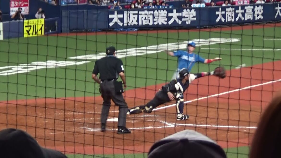 【オリックス 若月健矢選手のファインプレーも併せて】本塁でのタッグプレーに備えて「最もよい位置」をとる球審の山村裕也審判員【2024.9.22 オリックス vs 北海道日本ハム @京セラドーム大阪】 【オリックス 若月健矢選手のファインプレーも併せて】本塁でのタッグプレーに備えて「最もよい位置」をとる球審の山村裕也審判員【2024.9.22 オリックス vs 北海道日本ハム @京セラドーム大阪】