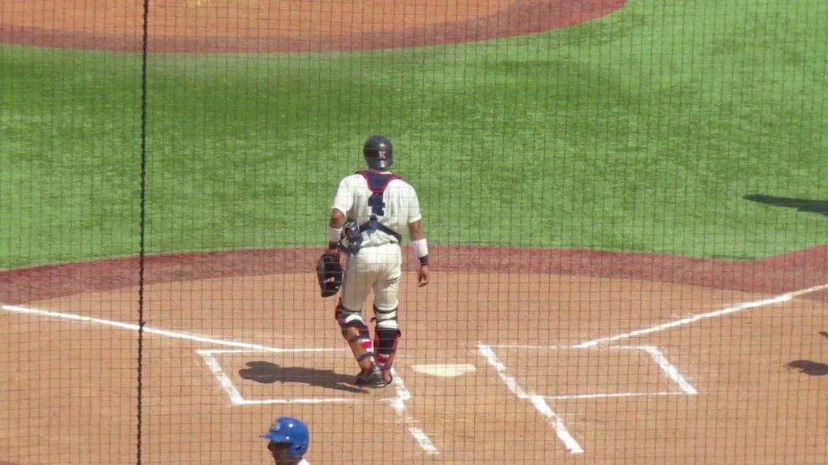 青学 山口翔梧のバッティングフォーム＜東都大学野球 秋季 國學院大 対 青山学院大 2024年9月9日＞