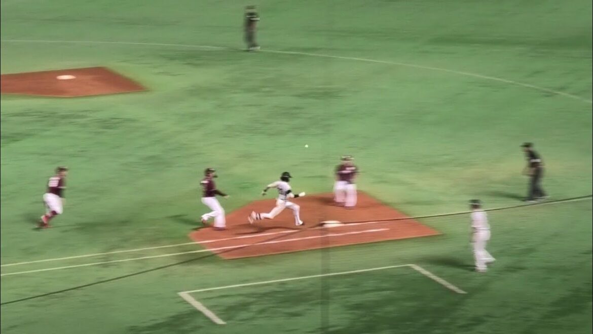 周東佑京 見事なセーフティバント！(一塁側) 2024.9.22