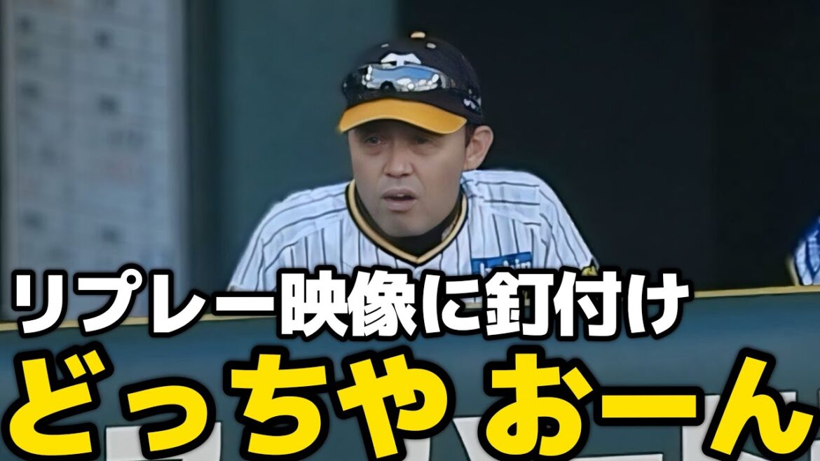 【おーんどっちや？】フェンス際の打球捕った？ビジョンに映るリプレー映像に釘付けの森下と大山。岡田監督も凝視して映像を確認 2024.9.16